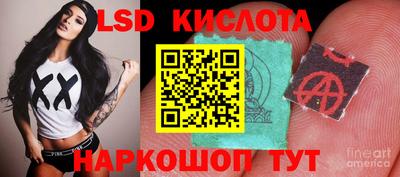 прущие крисы Новозыбков