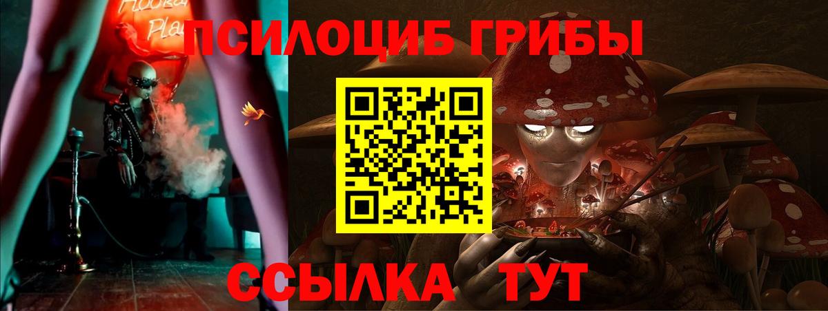Галлюциногенные грибы ЛСД  Вход с VPN  Галлюциногенные грибы Psilocybine cubensis  Обнинск 